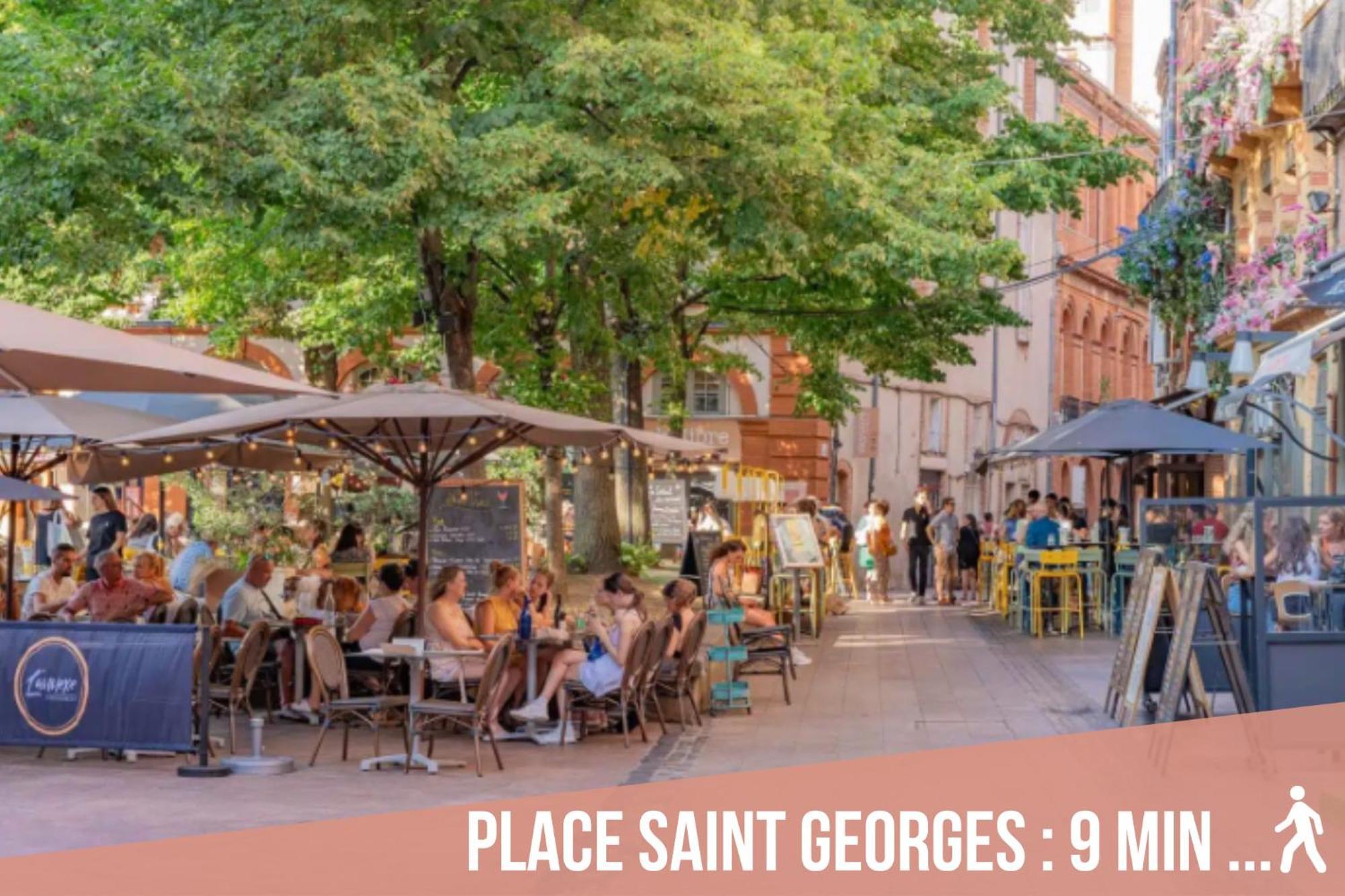 Chartreuse, Clim, Parking, Terrasse Au Calme Apartment Toulouse Exterior foto
